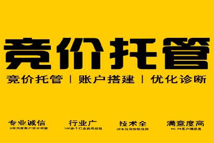 谷歌竞价广告的创意执行与效果评估——某品牌案例